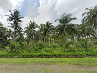 FOR SALE- Vacant Lot in Tayabas Mauban Rd, Tayabas Quezon