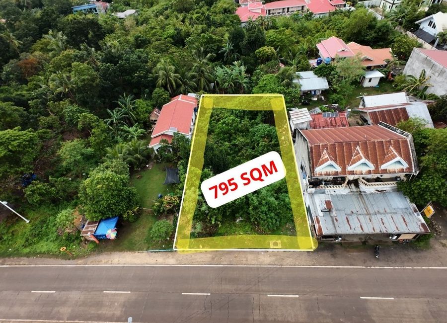 Commercial Lot for Sale & Lease - Danao, Panglao, Bohol
