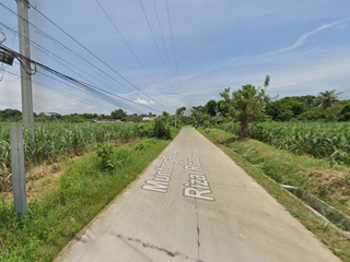 Agricultural Lot in Rosario Batangas For Sale