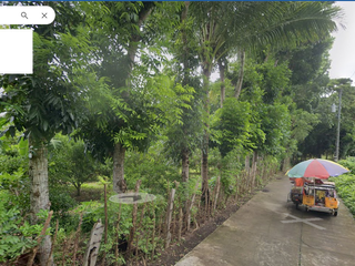 For Sale: 2.6 Has Farm Lot in Lipa Batangas, for only P1.3k/sqm!!