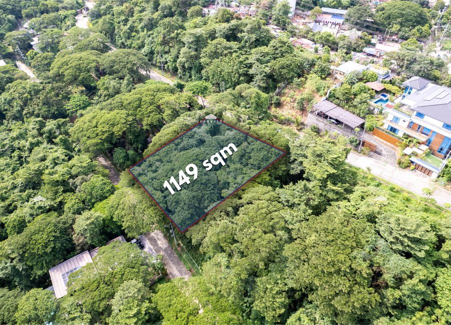 Prime 1,149sqm Forest Farm Lot w/ Manila Skyline & Lake Laguna for Sale!