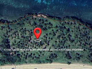 4.5 HECTARES BEACH FRONT  LOT FOR SALE IN MISAMIS ORIENTAL ( ALONG NATIONAL HIGHWAY ) 500 METERS FRONTAGE 1HR DISTANCE FROM CDO
