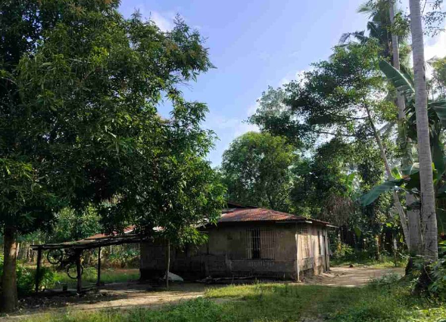 FARM LOT WITH FRUIT BEARING TREES .