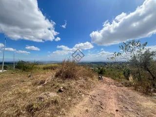 Vacant Lot 13,000 sqm Clean title for Sale in San Jose Tarlac