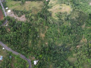 FARM LOT FOR SALE IN BAYAWAN ID 14763
