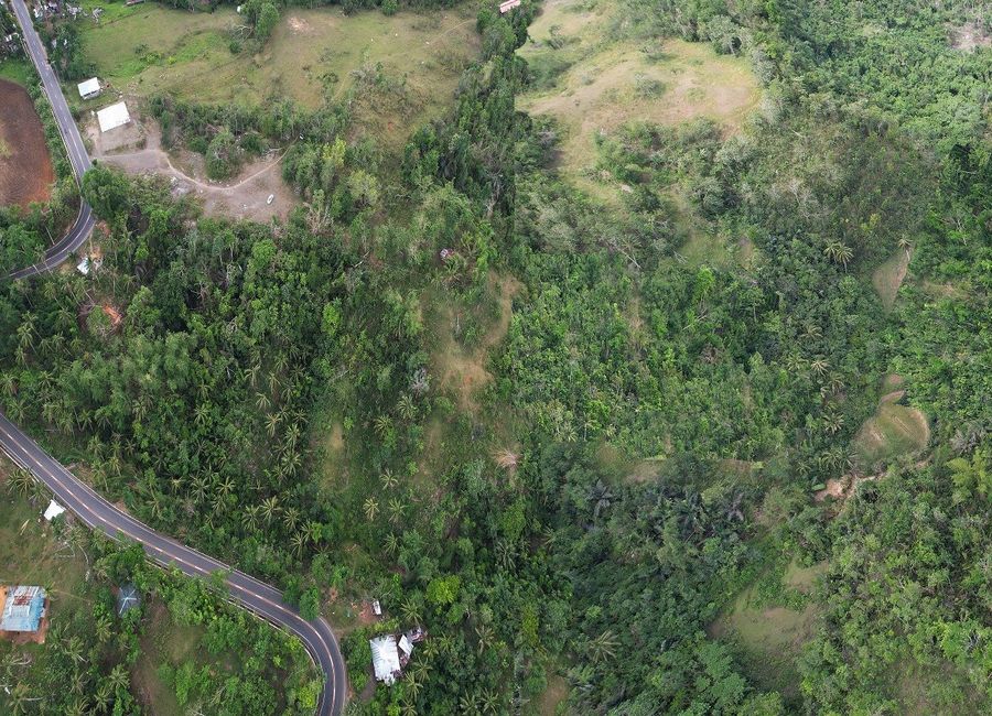 FARM LOT FOR SALE IN BAYAWAN ID 14763