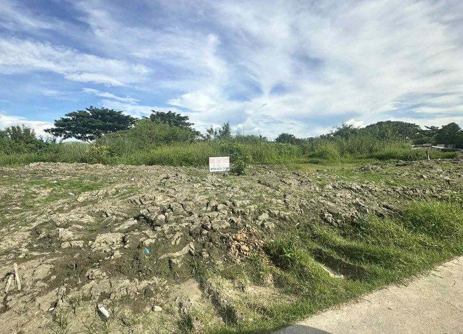 3,900sqm Lot for sale along Felipe Vergara Highway Cabanatuan City