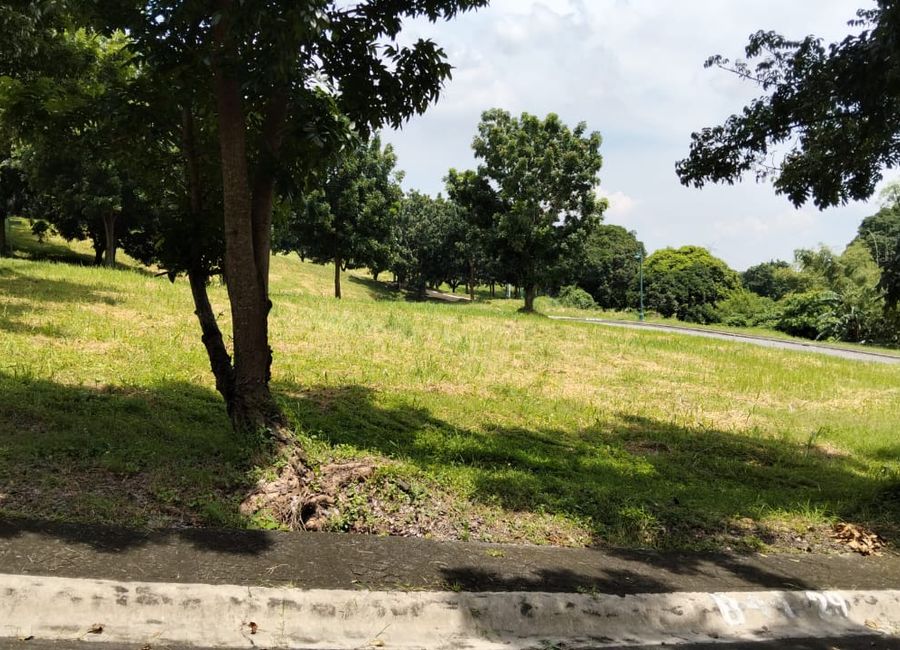 For Sale: 445sqm Residential Lot in Manila Southwoods Peak V, Carmona Cavite – ₱28,000/sqm Only!