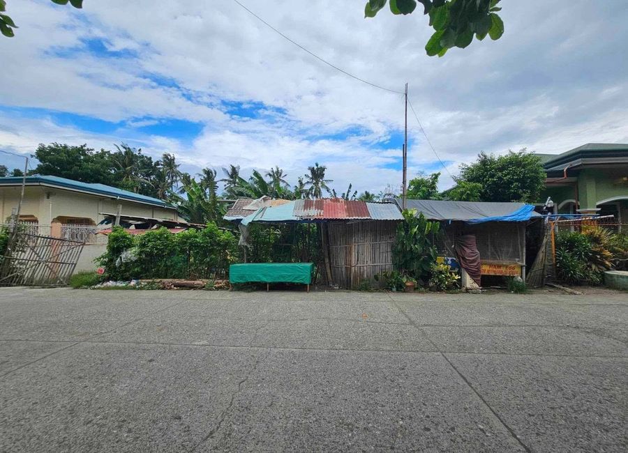 Prime 821 sqm Development Lot Near Oton Plaza — A Strategic Investment Opportunity