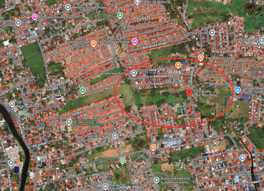 1.2 Hectare Agricultural Land in Salinas 2 Bacoor Cavite near Camella ...
