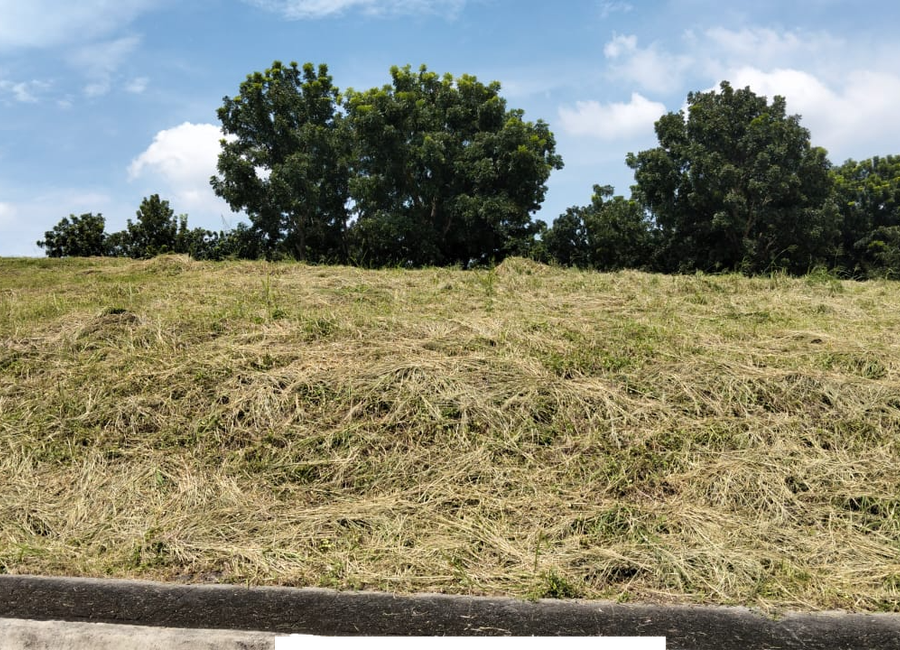 For Sale: 326sqm Residential Lot in Manila Southwoods Peak V, Carmona Cavite – ₱28,000/sqm Only!