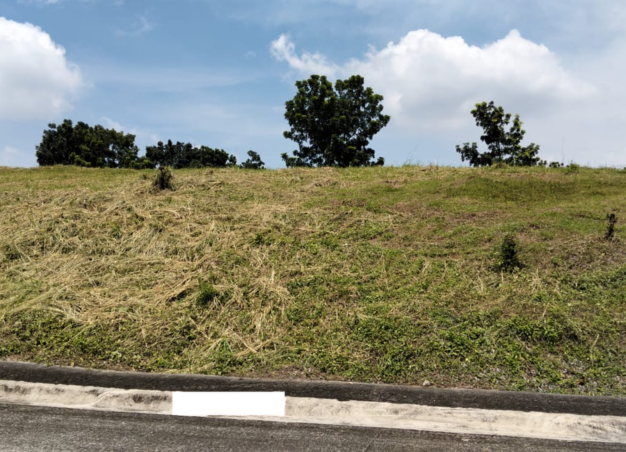 For Sale: 321sqm Residential Lot in Manila Southwoods Peak V, Carmona Cavite – ₱28,000/sqm Only!
