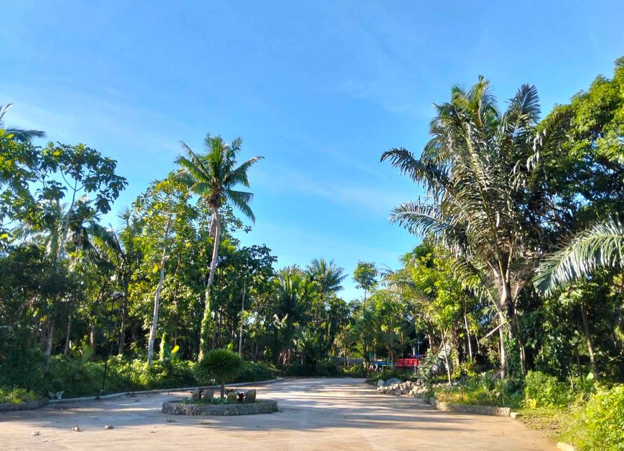 500 SQM LOT FOR SALE IN ALFONSO CAVITE DIRECT TO SELLER