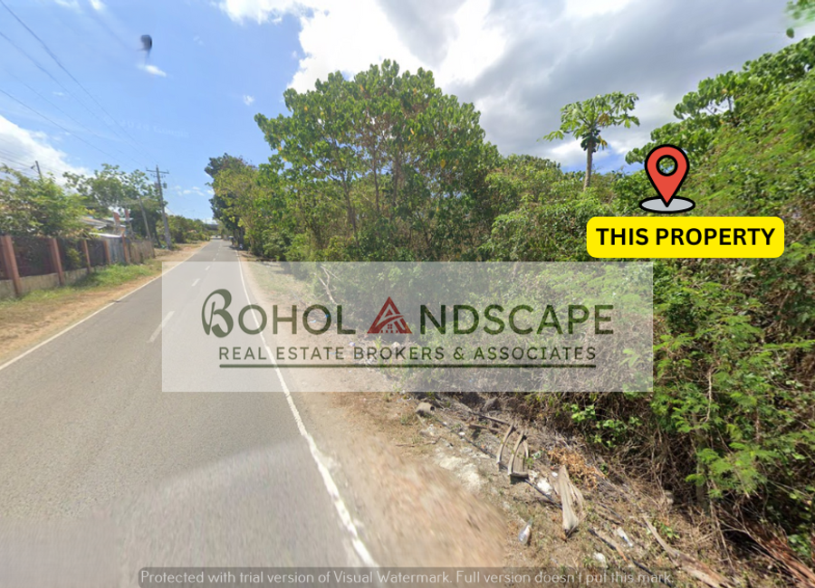 Lake View Lot for Sale located in Totolan, Dauis, Panglao Island, Bohol