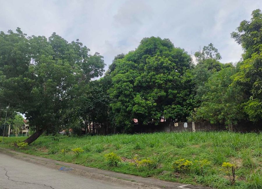 For Sale Lot in Fairway View Filinvest 210s.qm Brgy. Salawag Dasma Cavite near Villar City Beside Orchard Golf Course