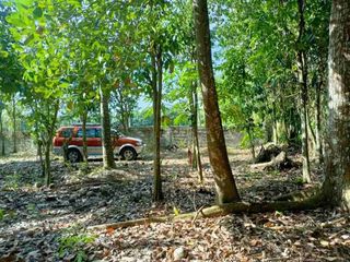 FARM LOT IN LIPA BATANGAS