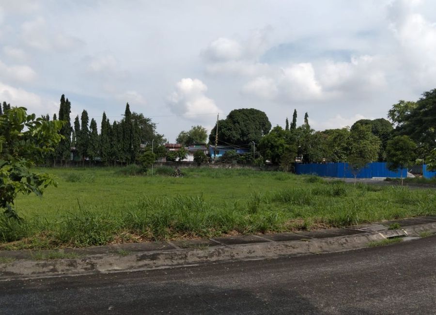 For Sale: 570sqm Residential Corner Lot in Manila Southwoods, Carmona Cavite – ₱35,000/sqm!