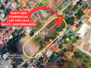 10,677 SQM Lot for Sale in Baliti, City of San Fernando, Pampanga — Ideal for Residential, Commercial, or Industrial Use