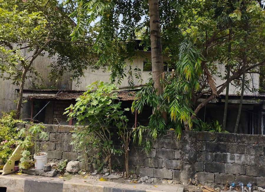 Lot for Sale in Manggahan, Pasig City Adjacent to Pasig Doctors Hospital