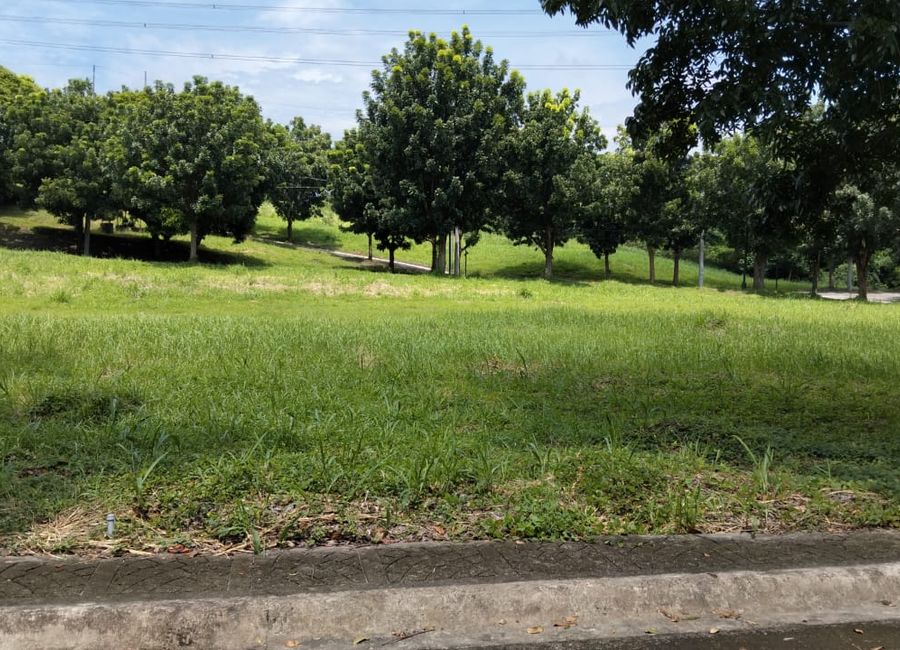 For Sale: 328sqm Residential Lot in Manila Southwoods Peak V, Carmona Cavite – ₱28,000/sqm