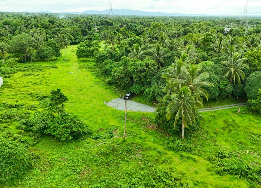 Residential Farm Lot for Sale