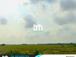 For Sale: Vast Raw Land in Magalang, Pampanga