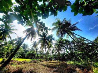 AGRICULTURAL LAND NEAR THE SEA