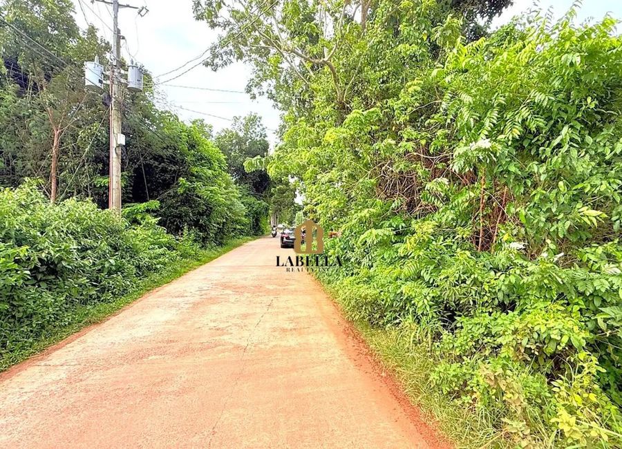 307 sqm Lot For Sale-Tabalong, Dauis, Panglao Island