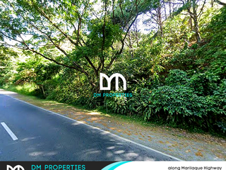 For Sale: Commercial Property along Marilaque Highway, Tanay, Rizal