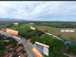 Bukidnon Property for Sale in Manolo Fortich in front of Del Monte Farms