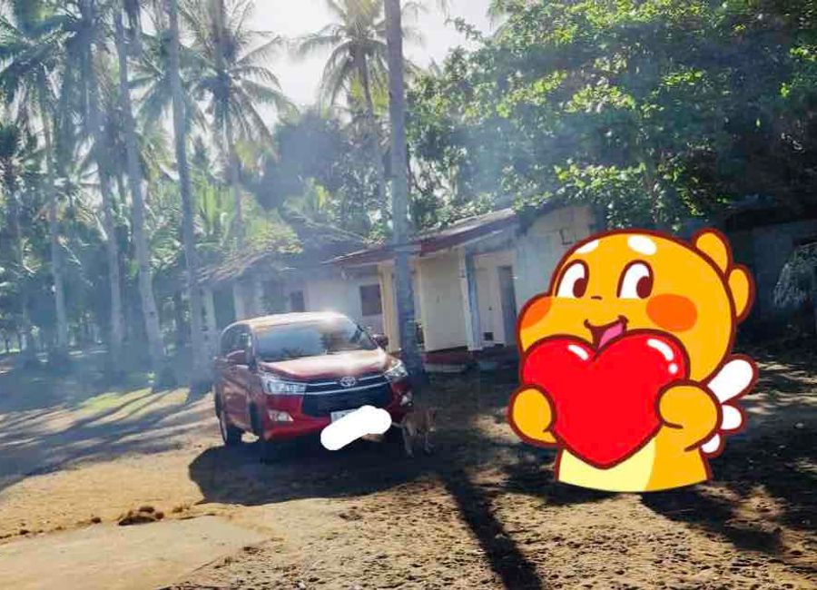 CHEAP Tayabas Farm lot