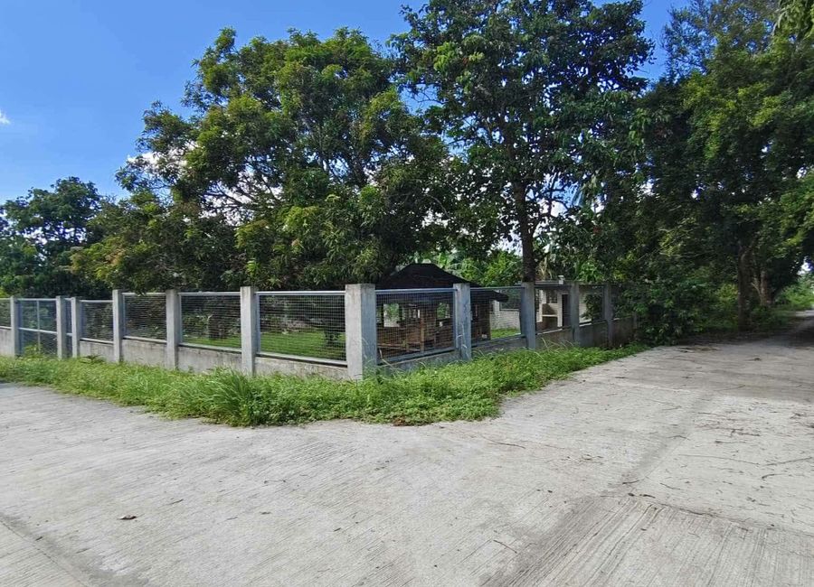 Farm Lot for Sale in Daine