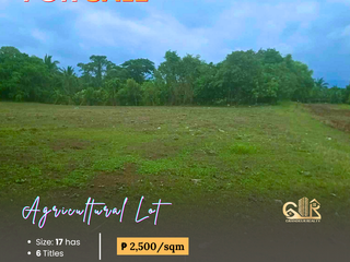 FOR SALE: Vacant Lot located in Pangao, Lipa City, Batangas