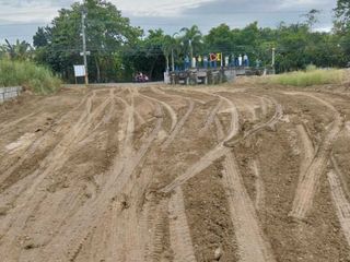 Nueva Ecija Agricultural Land For Sale