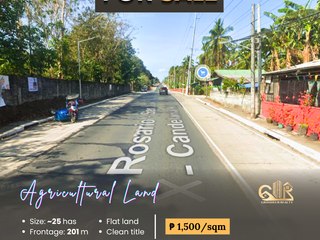 For Sale: Agricultural Land located at Natu Rosario, Batangas
