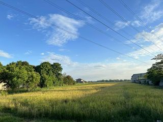 Agricultural Lot 8,385 sqm along cemented road for Sale in Lubao Pampanga