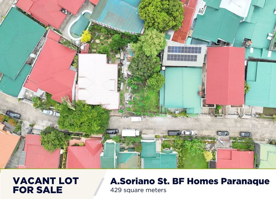 FOR SALE: Residential Lot in BF Homes Paranaque