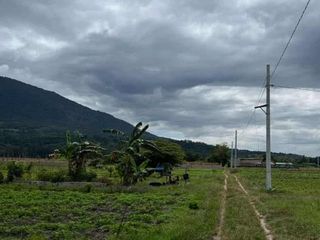 Farm Lot 10,000 sqm Clean title for Sale in La Paz Magalang Pampanga