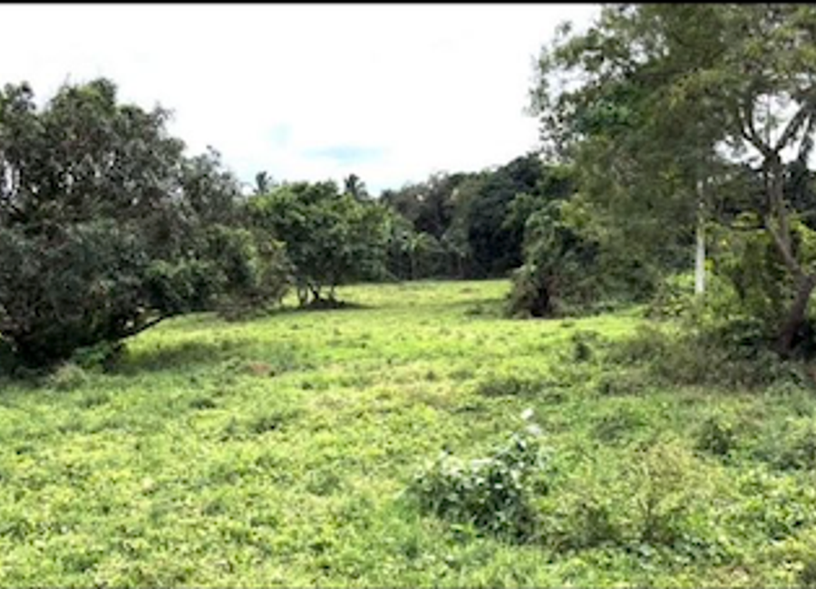 For Sale: 4,180sqm Vacant Lot along STAR Tollway, Malvar Batangas - ₱3k/sqm!!