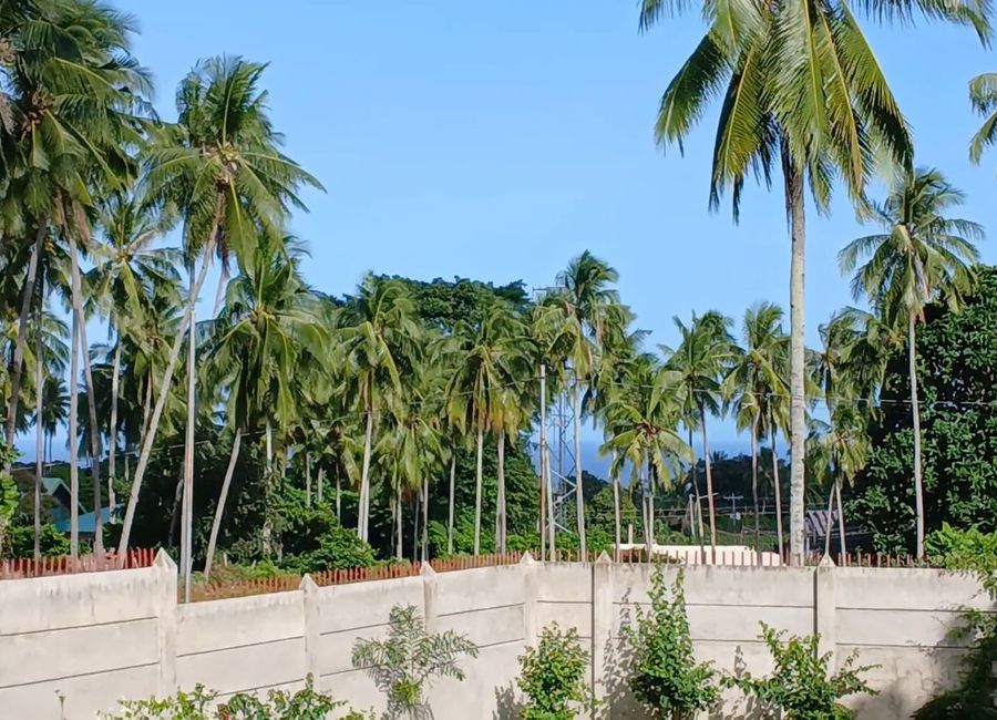 Negros Oriental overlooking lot for sale in Valencia