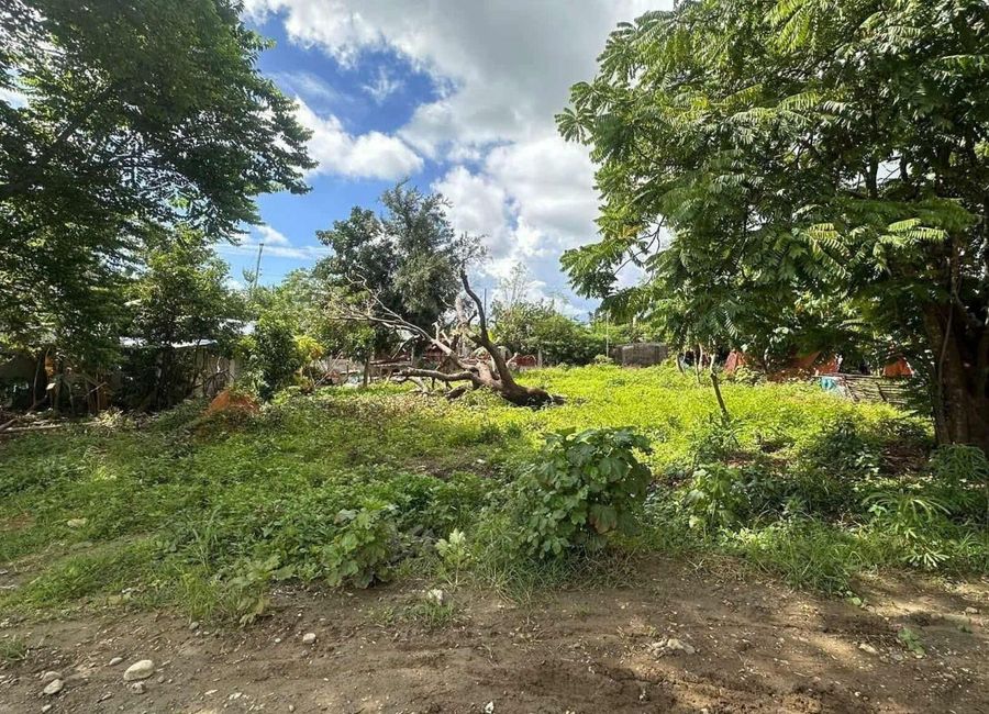 Residential Lot 972 sqm Clean title for Sale in Alaminos City Pangasinan