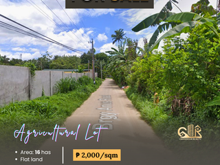 For Sale: Agricultural Lot located at Bungahan Cuenca Batangas