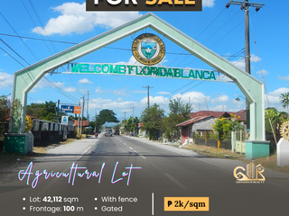 FOR SALE Agricultural Lot located at Florida Pampanga