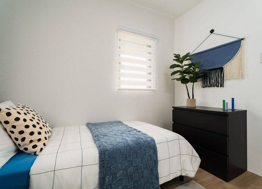 place photo 37