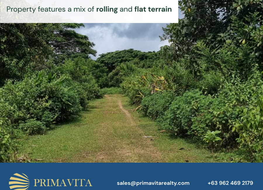 Farm Lot For Sale in Bgy. Bendita, Magallanes, Cavite Near Tagaytay
