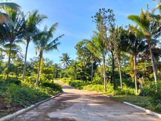 Affordable Retirement Farm Lots for SALE near Tagaytay with the right of way