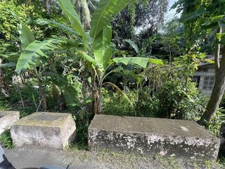 SMALL LOT FOR SALE IN SIQUIJOR SIQ00182