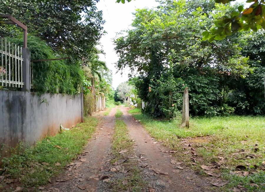 1,000 sqm Lot for Sale – Sta. Monica, Puerto Princesa
