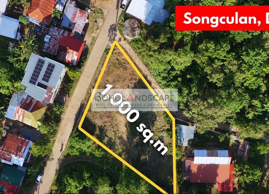 Residential Lot for Sale in Songculan Dauis Bohol