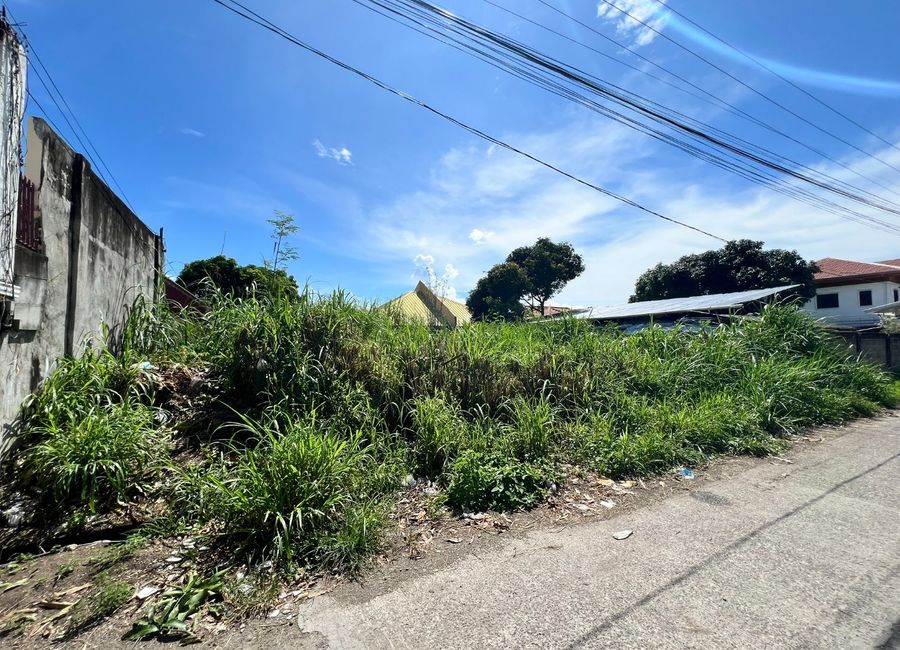 RESIDENTIAL LOT FOR SALE IN DUMAGUETE CITY ID 15052